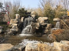 -南宫五洲植物乐园