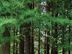 -艾溪湖湿地公园