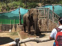 -大连森林动物园