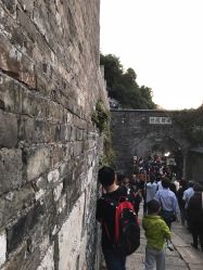 -京世沙龙
