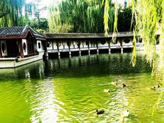 -团结湖公园