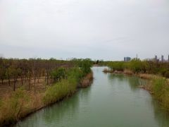 -南湖国家城市湿地公园