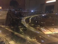 -新加坡丽思卡尔顿美年酒店