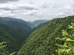 -凤凰山国家森林公园