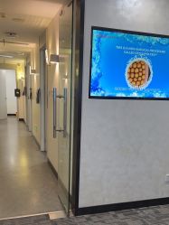 -上海玫瑰医疗美容医院