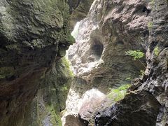 -牛背梁国家森林公园