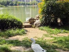 -木塔寺遗址生态公园