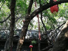 -董立兵烤鸭店(明湖店)