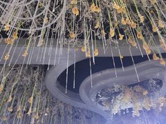 -云境生态园(红谷滩店)