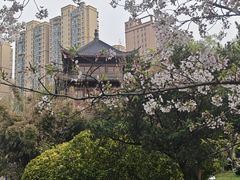 -堤角公园