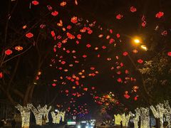 -芭夯兔·无骨兔汤锅(远达港湾店)