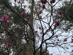 -桃花涧