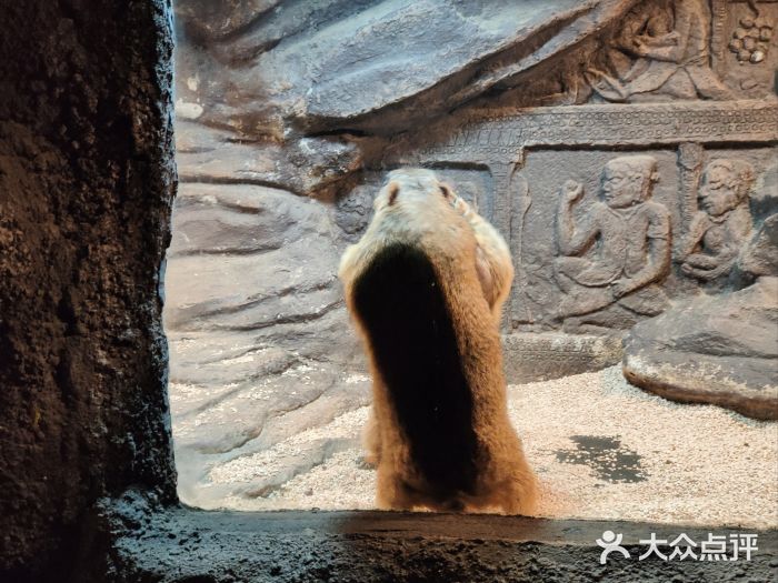 皇家海洋乐园图片