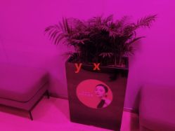 -Yestar杭州艺星医疗美容医院