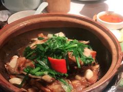 -大榕树下顺德菜(融创茂店)
