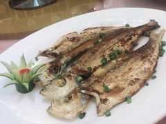 -东方御宴海鲜酒楼(棕泉酒店)