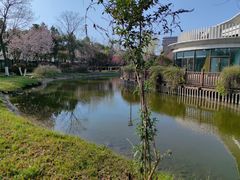 -南阳建业森林半岛假日酒店