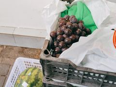-树夏(建设路店)