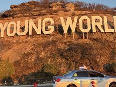 -红双喜海鲜淮扬菜·港城美食名片(海昌北路店)