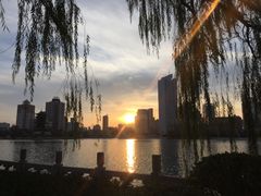 -迎泽公园