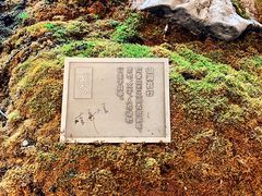 门面-Seesaw Coffee(朝阳大悦城店)