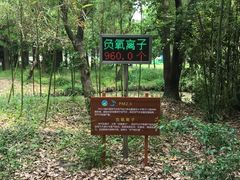 -同里国家湿地公园