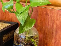 -荷花泰菜(东方新天地店)