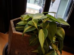 -思南书局(复兴中路店)
