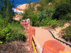 -广东惠东海龟国家级自然保护区