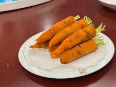 -丁老爷子苏香圆