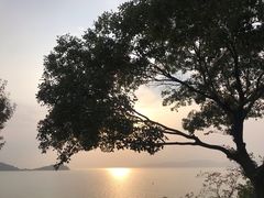 -上海市保健医疗中心