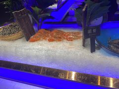 -加餐海鲜自助(宝龙一城店)