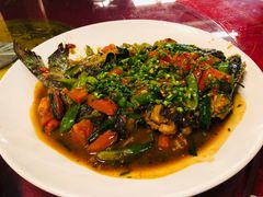 -生态苑农庄(十里画廊遇龙河店)