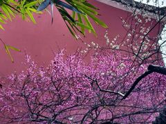 -钱王祠