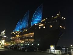 -西贡河游船
