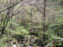-牛背梁国家森林公园