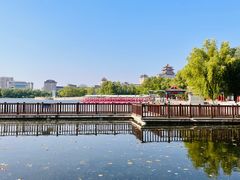 -莲花池公园