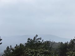 -雨花胜境