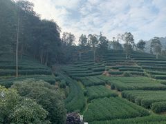 -自在弥林花园餐厅(云栖店)