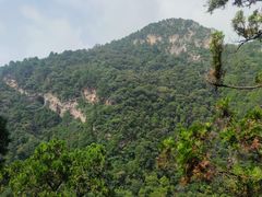 -北京上方山国家森林公园
