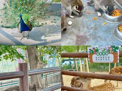 -海合安天津极地海洋公园