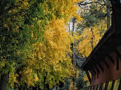 -宝光寺
