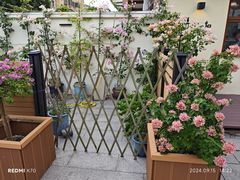 -满月蛋糕定制·商务茶歇·diy课程(万达广场店)