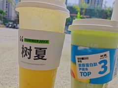 -树夏(鹭洲里店)