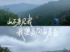 -朱雀国家森林公园