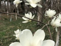 -南京市江宁方山