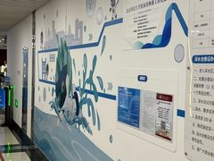 -北京科技大学-游泳馆