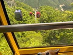 -洛阳白云山景区