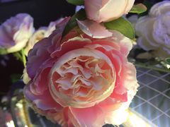 -卡滋贝诺动物奶油生日蛋糕(支塘工匠店)