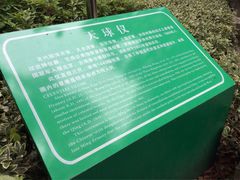 -紫金山天文台